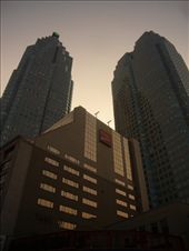 by rory2034, Views[496]