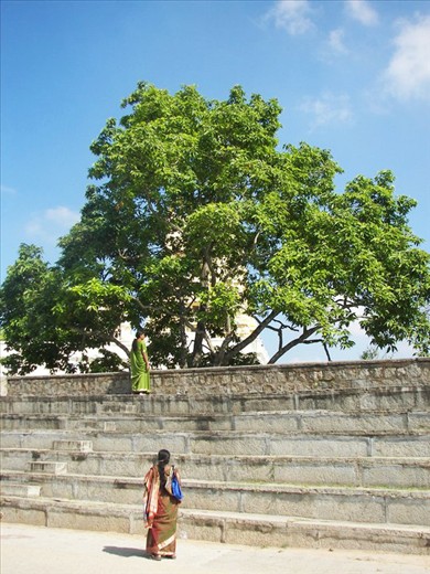 Hampi - worship and duty