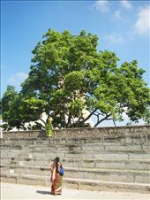 Hampi - worship and duty: by rosieking, Views[270]