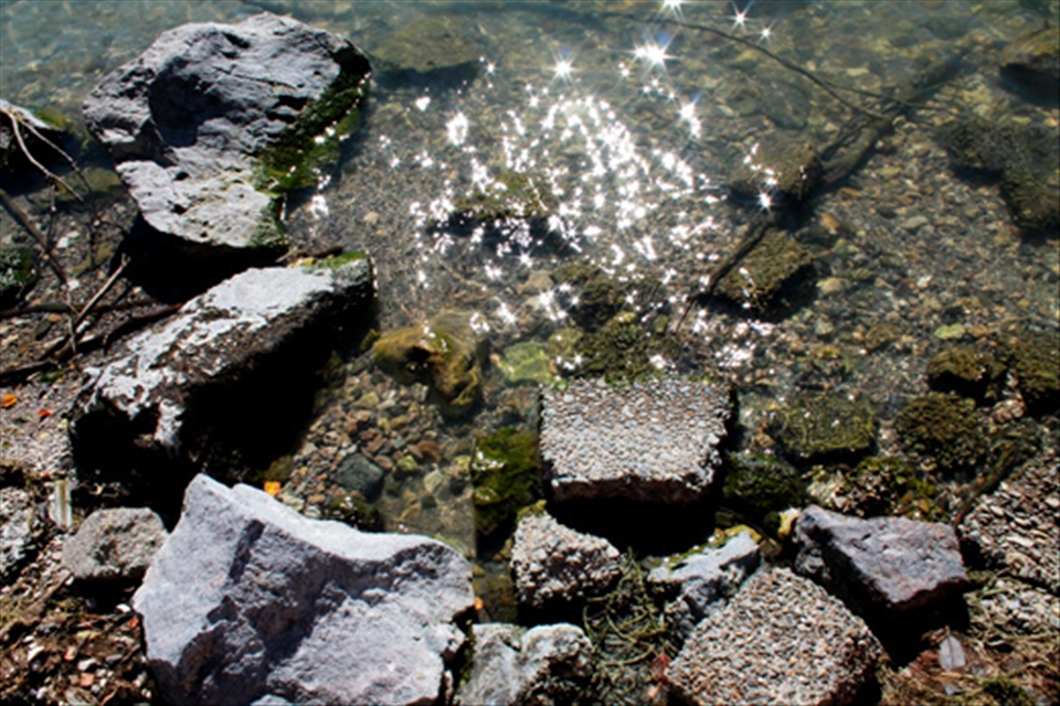 Rock has its diversity