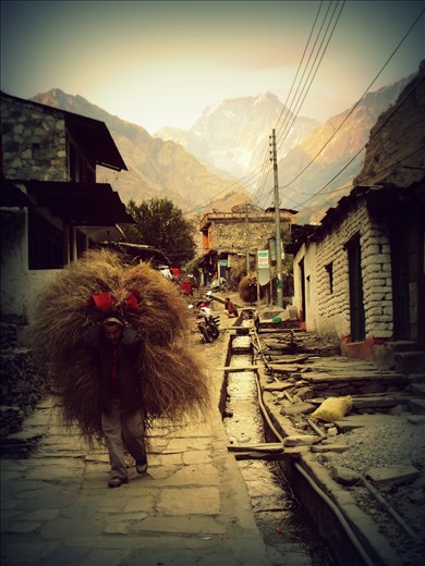 The Elder...a giant heart diminished in a petty stature.A thousand stories lying under a pile of hay.Do not give a Man a load as heavy as he can carry!
