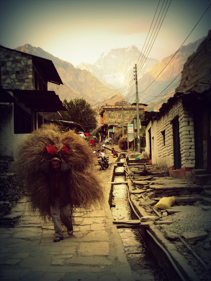 The Elder...a giant heart diminished in a petty stature.A thousand stories lying under a pile of hay.Do not give a Man a load as heavy as he can carry!
