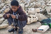 A boy on the beach preparing his hooks and bait, Canon Rocks. In Alexandria f: by roxannehenderson, Views[319]