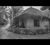 days of rain : by roychowdhuryabhijit, Views[308]