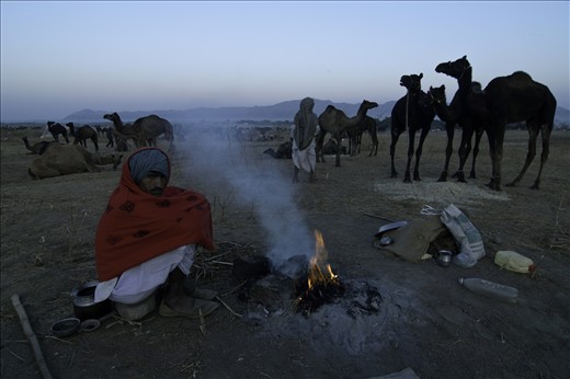 At Puskar Cattle Fair, People stays all the night under the open sky in cold.