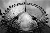 I title this A Different Take because while in London many photographers choose to take a distant shot of The Eye. Using a Canon ultra wide lens I was able to catch this piece from the base of the wheel giving a different perspective. The combination of lousy weather and not much coloration made the black and white option a rather great one in this case.: by rpmitchell, Views[750]