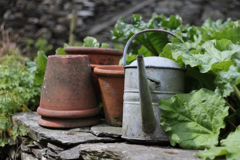Visiting Beatrix Potter’s former residence, famous from her series “Peter Rabbit”, made for an excellent experience. Behind the house was a cabbage patch that contained this combination of structure. Using my 50mm lens and a low aperture the picture turned out great and captures the feel the residence had.