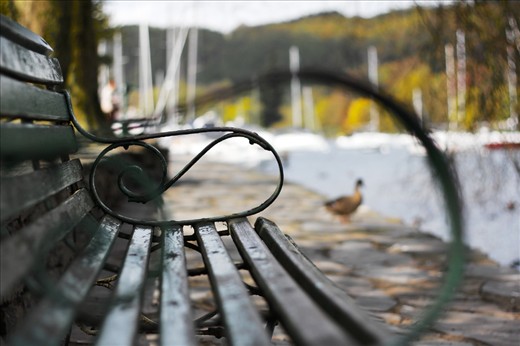 Traveling throughout the English countryside we stumbled upon Lake District. With the use of my 50mm lens “Unoccupied” was produced encompassing one of the lakes, a duck, and the chair. This shot illustrates the beauty that can be found in random places in the UK and I love it for just that.
