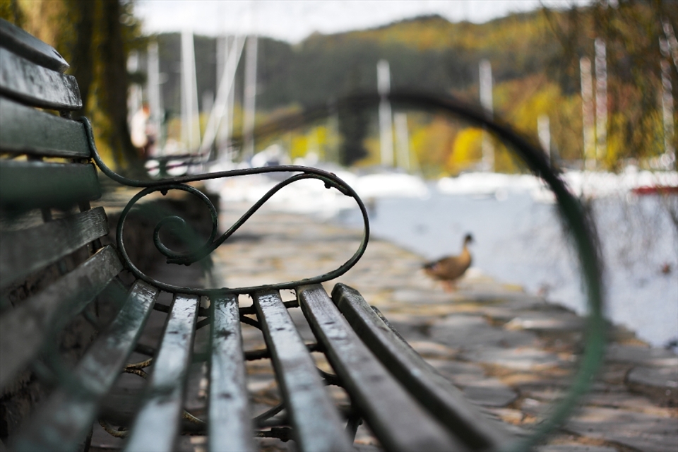 Traveling throughout the English countryside we stumbled upon Lake District. With the use of my 50mm lens “Unoccupied” was produced encompassing one of the lakes, a duck, and the chair. This shot illustrates the beauty that can be found in random places in the UK and I love it for just that.