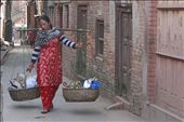 In the ancient city of Bhaktapur, a woman makes her living collecting garbage.: by rsheiniuk, Views[362]