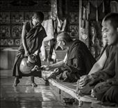 It was very intriguing to watch the younger monks that were in training and the role they played in the monastery. Every morning, the prayers began as early as 4am and the younger monks were tasked with serving breakfast to the older monks that were chanting & praying. Breakfast traditionally comprises of hard bread & tea. The bread is soaked in the tea to soften it up before being consumed. It was amusing to watch the younger monks scurrying with the heavy kettles, making sure everyone had enough tea.: by rssarma, Views[636]