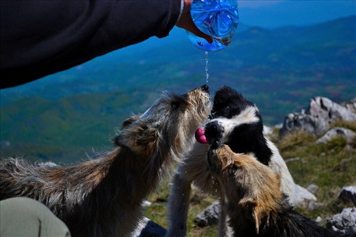 Althought our  interstellar hitchickers attempt wasnt sucessfull, we found a new thirsty and hungry friends waiting for us at the peak of the mountain. 