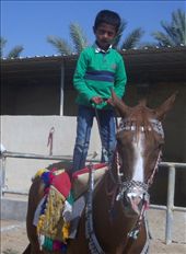 Rider in training.: by rtumicki, Views[236]