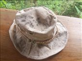 Time to be looking for a replacement hat - the mold is winning.: by rtumicki, Views[936]