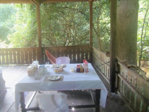 A special breakfast in the park.  I was spoiled with being the only one on tour.