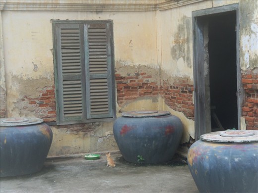 An artistic shot at the hyena pagoda.