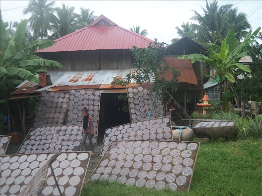 Rice paper wraps being rotated with the sun.