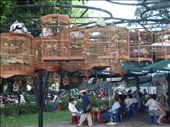 Bird Park: by rtumicki, Views[496]