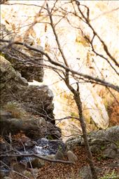 gold and water: by rubinix, Views[186]