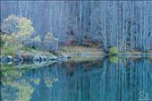 lake: by rubinix, Views[155]