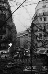 watching through the trees. : by rubyj, Views[358]