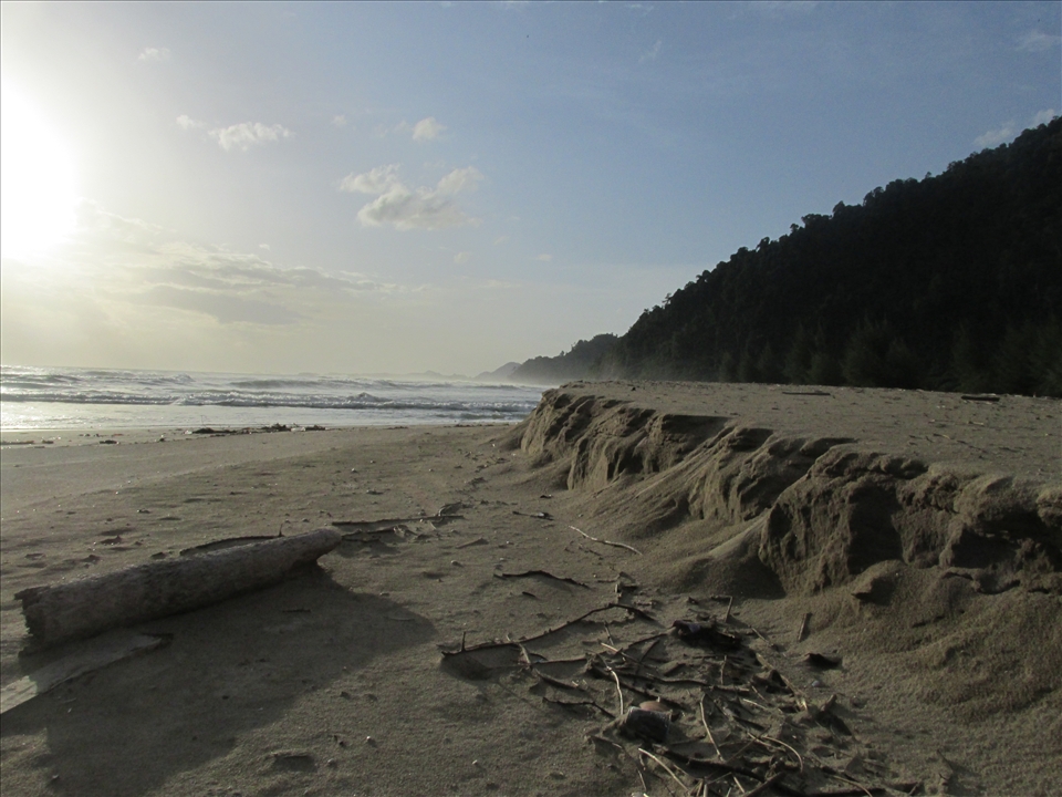 Sun, Beach, and Sand 