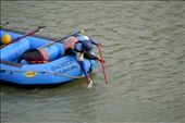Sacred Science - A Raft Guide clearing up the litter thrown by others in the Ganges. People respect & regard Ganges as God. : by ruchisomaiya, Views[321]