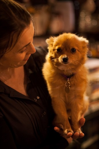 This is Tamara, who the owner proudly introduced us to on the 1st night there. With Tamara being there it just added even more to the homely atmosphere you feel when visiting Connie Doolan's.