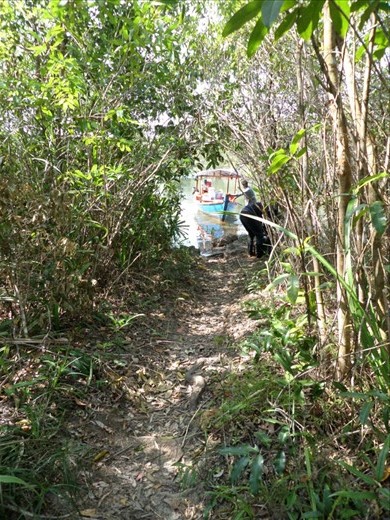 Leaving the boat in the Mangroves to start our hike