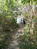 Leaving the boat in the Mangroves to start our hike: by russc_01, Views[251]