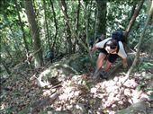 Tash climbing: by russc_01, Views[223]