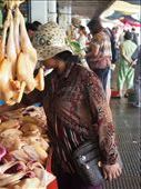 Chicken shopping...: by russc_01, Views[271]