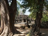 Entrance to Ta Prohm: by russc_01, Views[237]