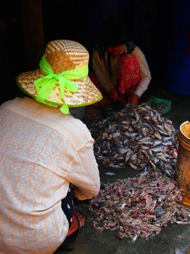 Women working in the fish paste markets
