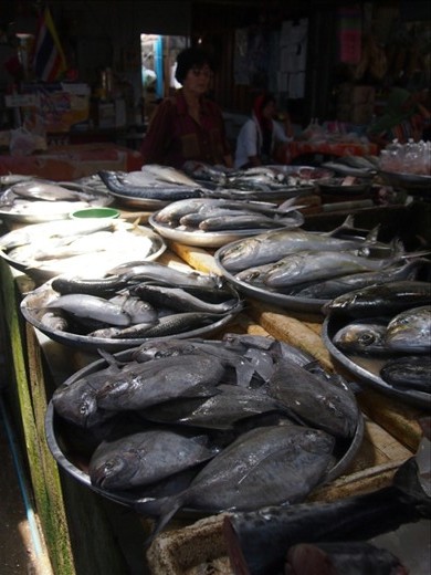 Fish at a market in Ko Samui
