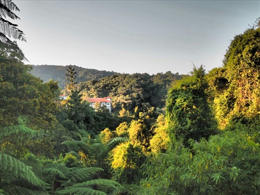 The view from our accomodation