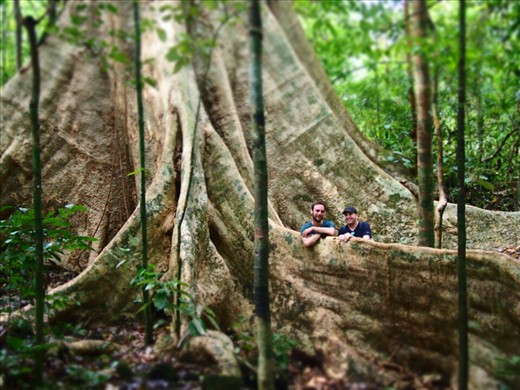 Two fairly tall men dwarfed by tree