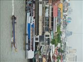 by rutha90, Views[520]