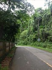 by rutha90, Views[221]