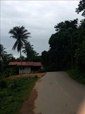 by rutha90, Views[481]