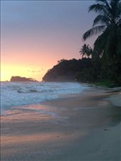 by rutha90, Views[223]