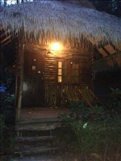 by rutha90, Views[216]