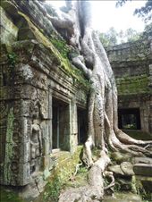 by rutha90, Views[225]