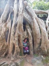 by rutha90, Views[214]