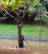 by rutha90, Views[218]