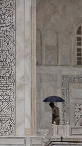 by ruthandklas, Views[167]