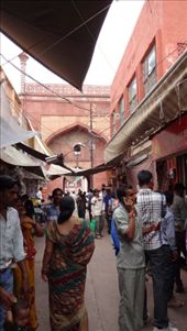 by ruthandklas, Views[183]