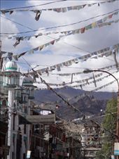 by ruthandklas, Views[153]