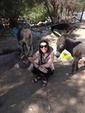 by ruthandklas, Views[177]