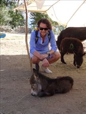 by ruthandklas, Views[274]